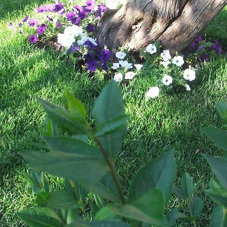 Abbiadori Residenza Nialiccia B&B 외부 사진