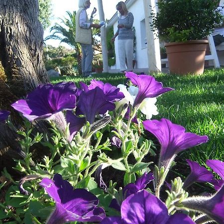 Abbiadori Residenza Nialiccia B&B 외부 사진