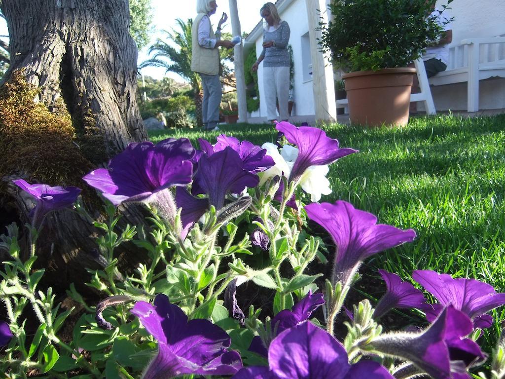 Abbiadori Residenza Nialiccia B&B 외부 사진