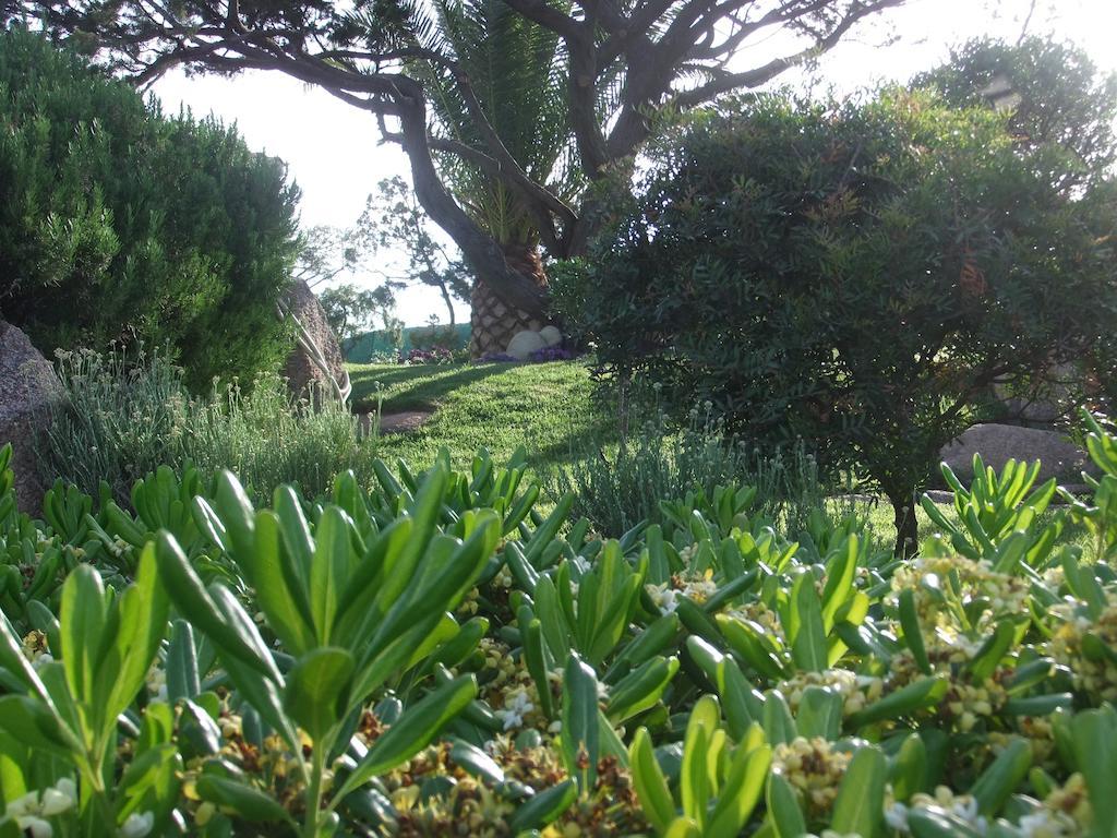 Abbiadori Residenza Nialiccia B&B 외부 사진